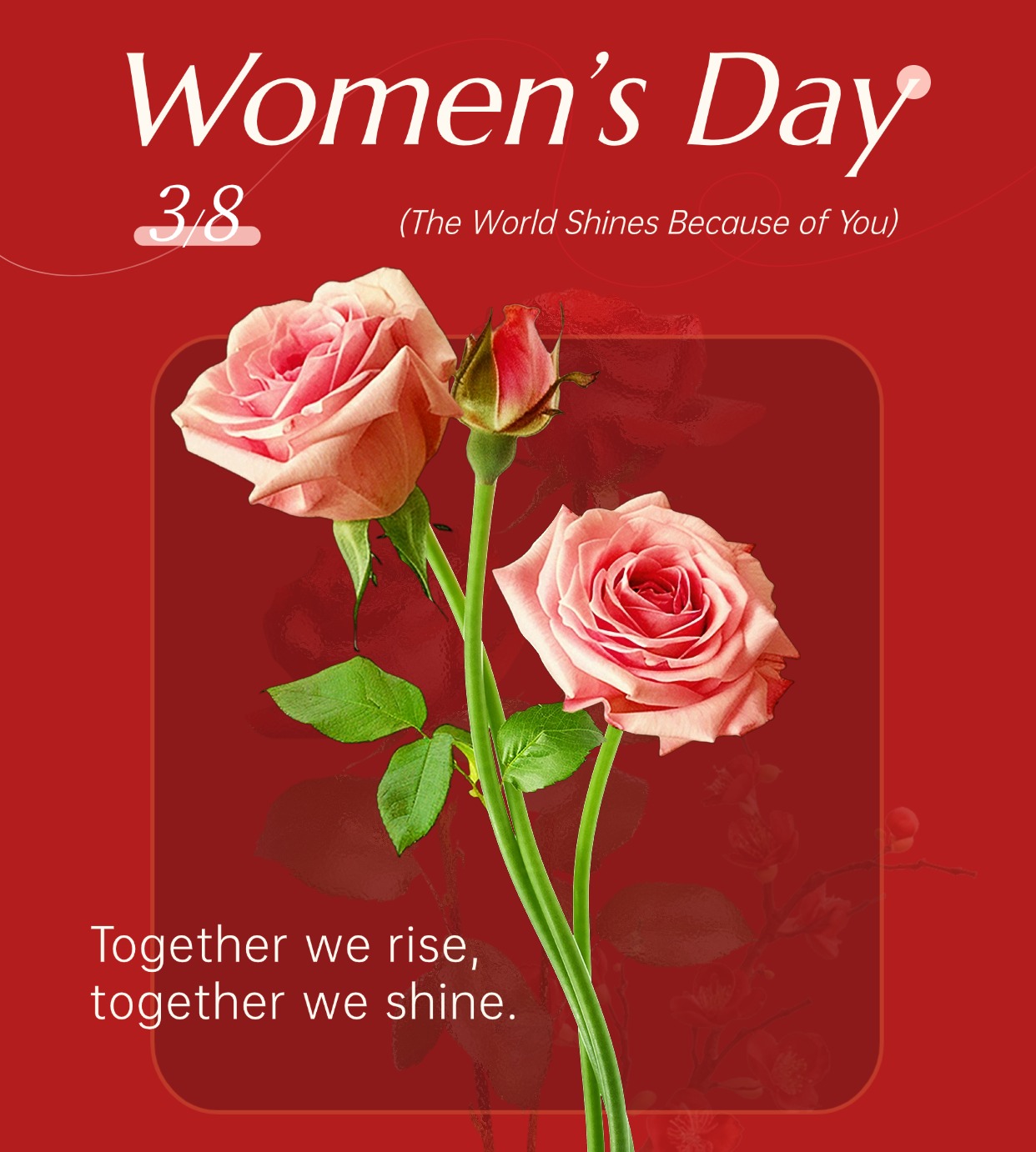 <span style='color:#FF6600'>To the Amazing Women in Our Lives: Thank You</span>